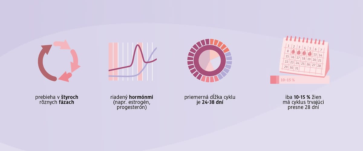 Menštruačný cyklus