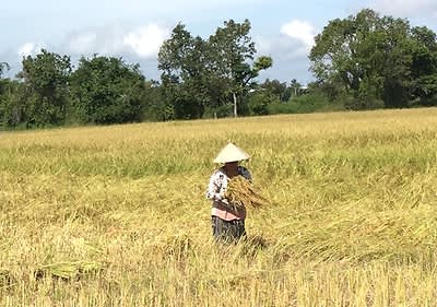 dmBio Genussreise Asien