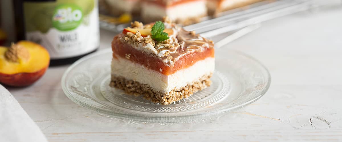 Mrazené jogurtové kocky s ovocím