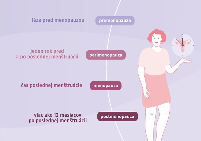4 fázy menopauzy