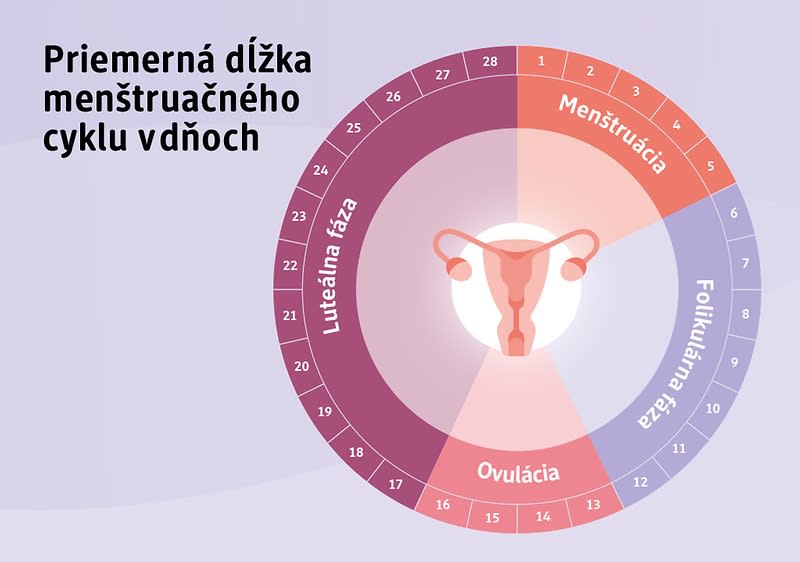 Priemerná dĺžka menštruačného cyklu v dňoch