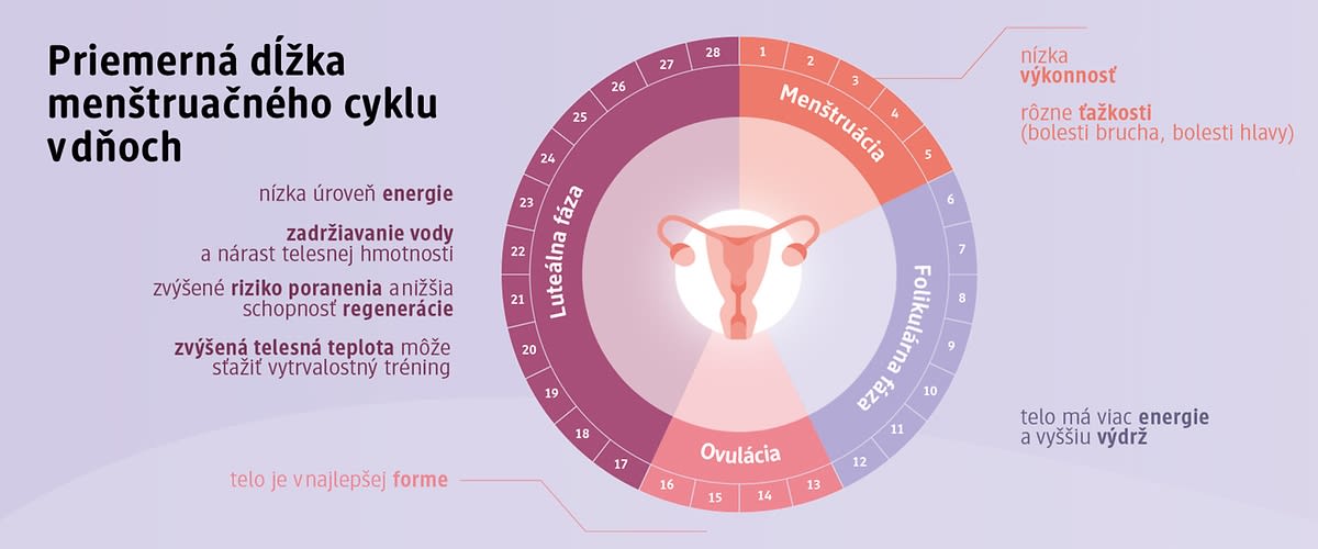 Priemerná dĺžka menštruačného cyklu v dňoch