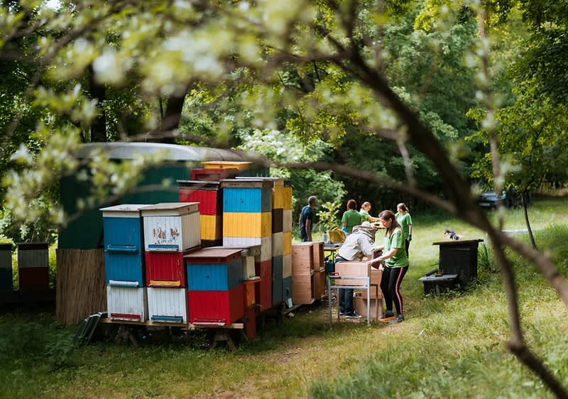 Dobrovoľnícke projekty dm spolupracovníkov