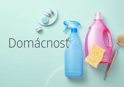 Domácnosť