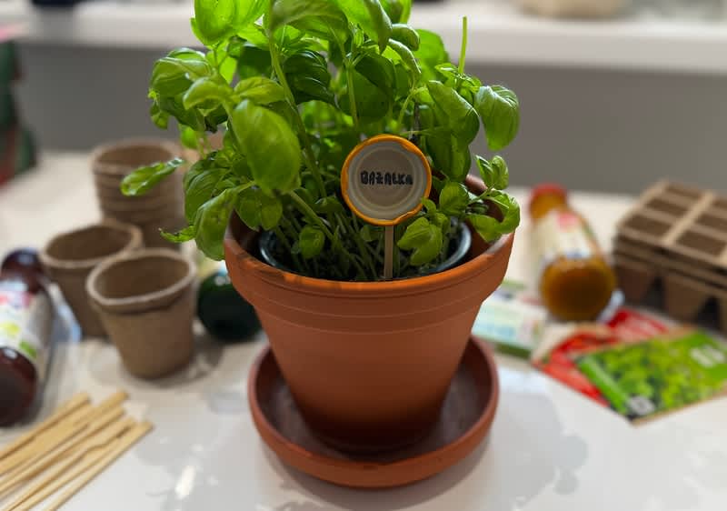 Hotová kreatívna menovka z viečka v črepníku