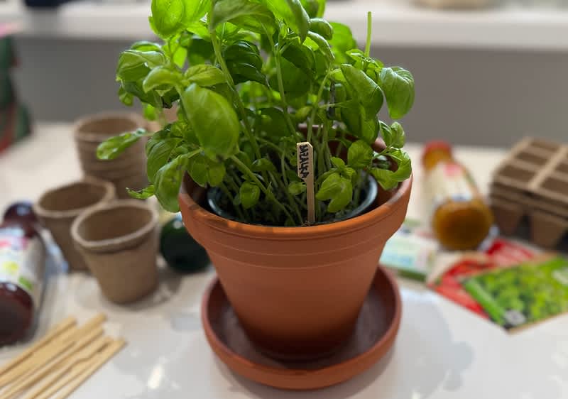 Hotová kreatívna menovka z napichovadla v črepníku