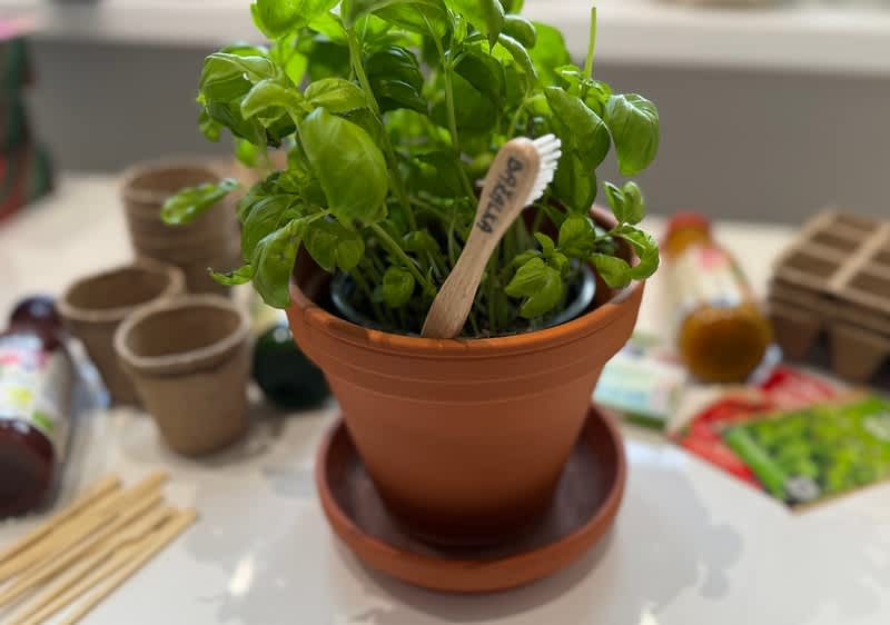 Hotová kreatívna menovka zo zubnej kefky v črepníku