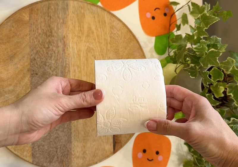 Rolka toaletného papiera v rukách