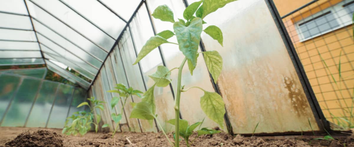 Grantový program dm Školy na zelenú už po tretí raz poskytne školám peniaze na inštaláciu fotovoltických panelov