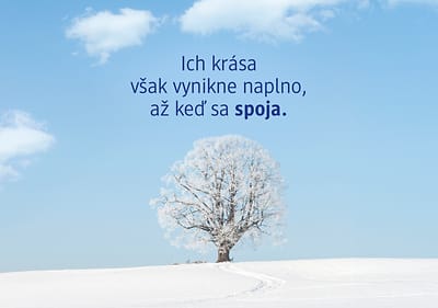 Zasnežený strom na poli s modrou oblohou a textom o kráse spojenia