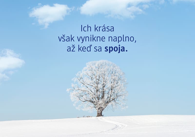 Zasnežený strom na poli s modrou oblohou a textom o kráse spojenia
