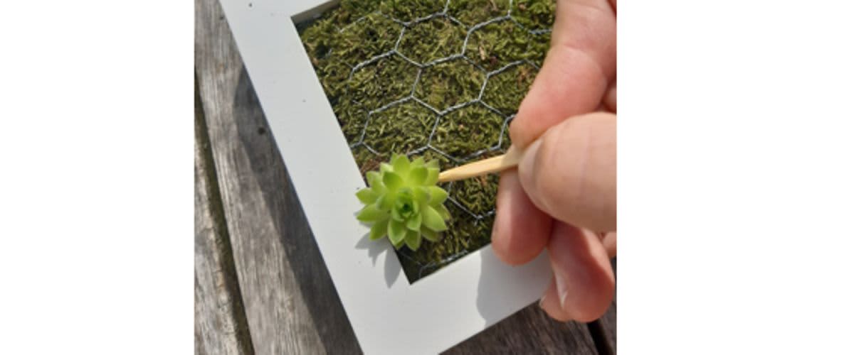 New Content Item (2)