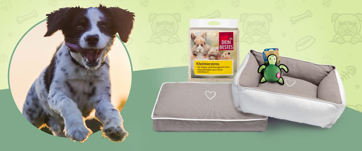 Produkty pre zvieratá.