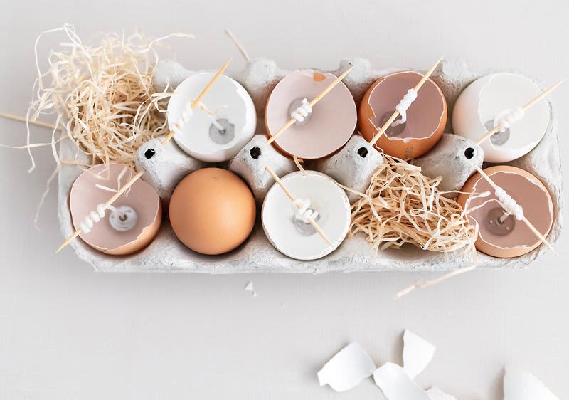 Vaječné škrupinky v obale na vajíčka.