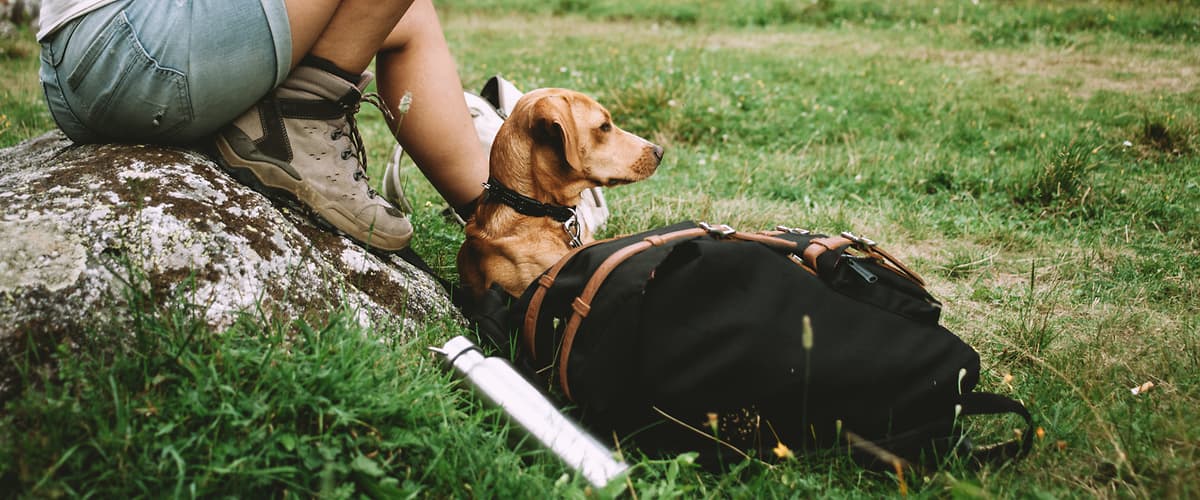 turistika so psíkom
