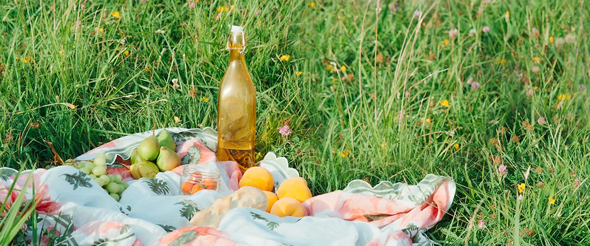 piknik v prírode