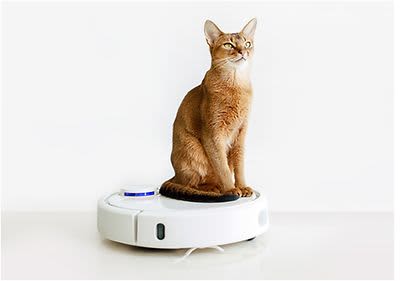 Mačka sediaca na robotickom vysávači.