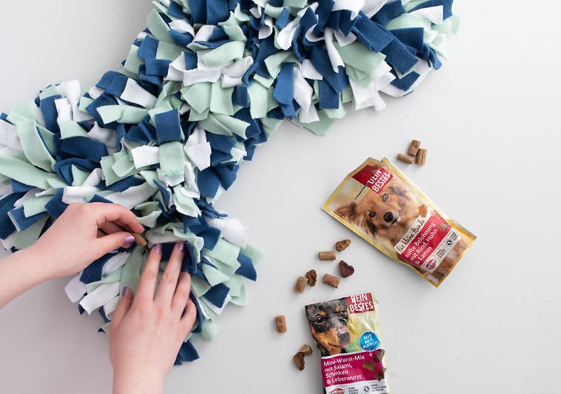 Psie maškrty a čuchací koberec