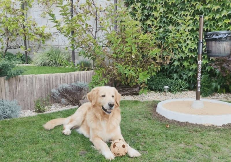 Ekologické psie toalety.