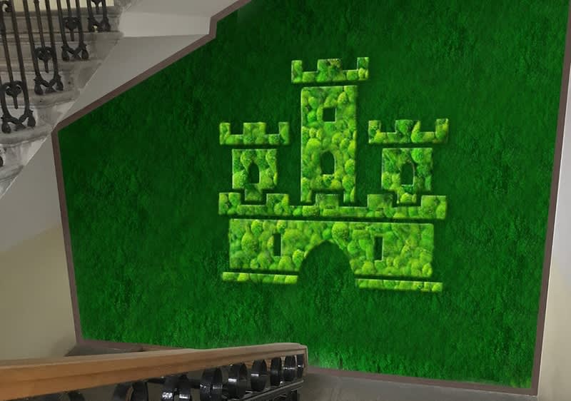 Ekologický projekt - zelená stena.