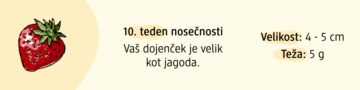 10. teden nosečnosti