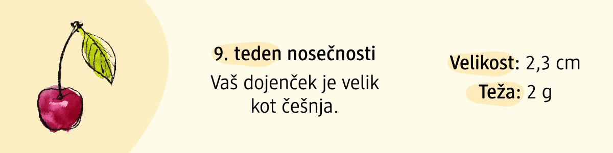 9. teden nosečnosti