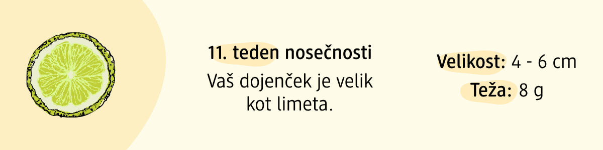 11. teden nosečnosti