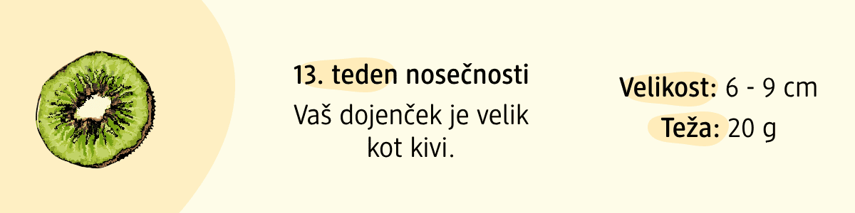 13. teden nosečnosti