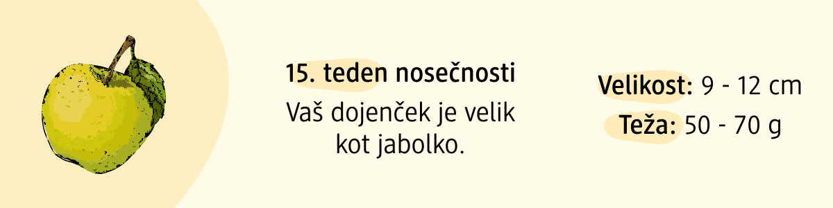 15. teden nosečnosti