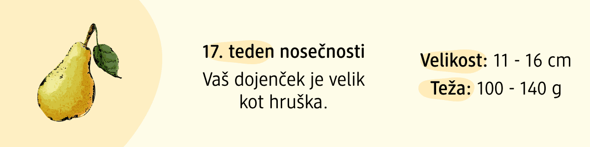17. teden nosečnosti