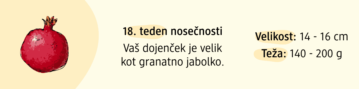 18. teden nosečnosti