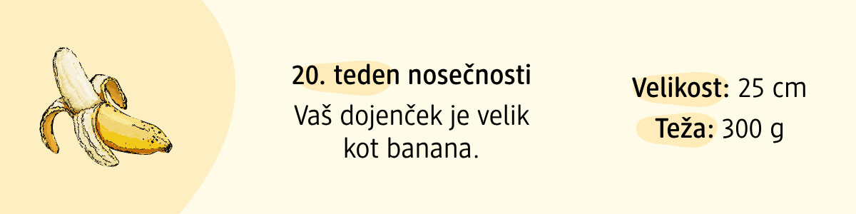 20. teden nosečnosti