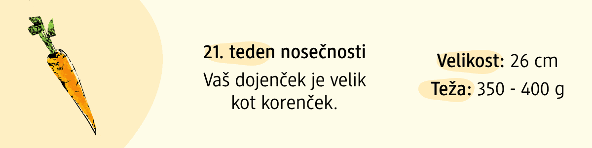 21. teden nosečnosti