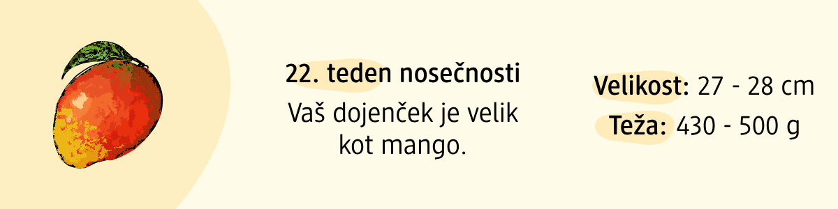 22. teden nosečnosti
