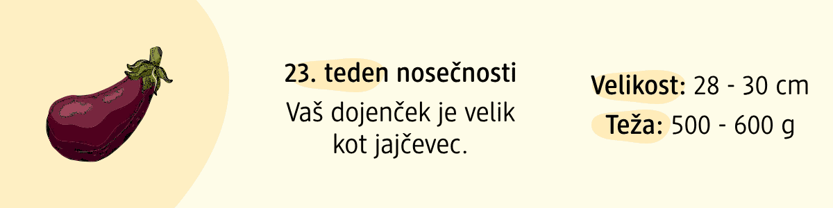 23. teden nosečnosti