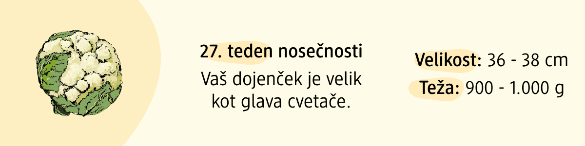 27. teden nosečnosti