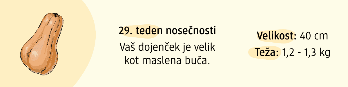 29. teden nosečnosti