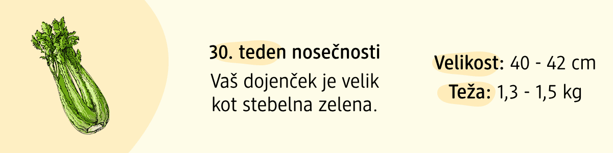 30. teden nosečnosti