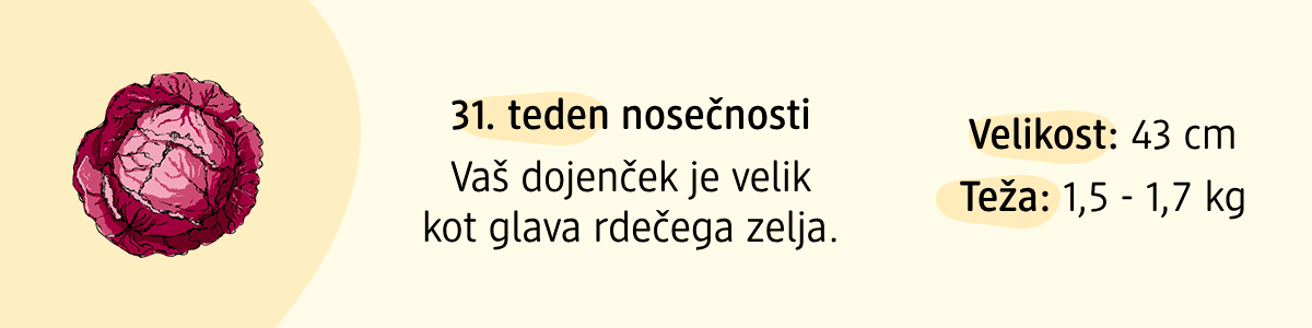 31. teden nosečnosti