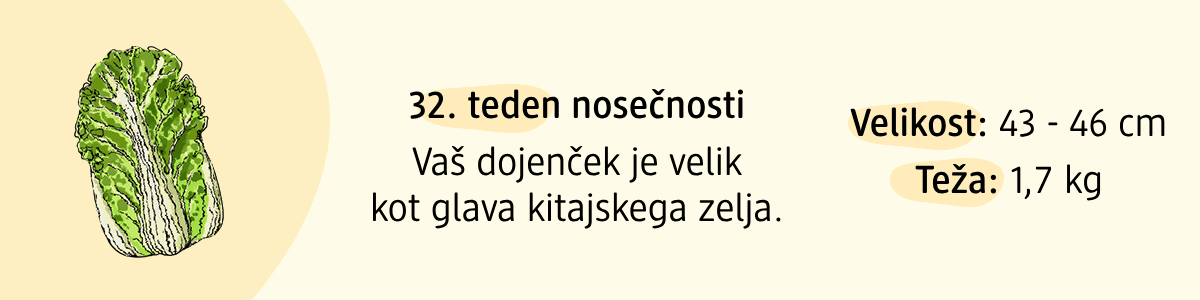 32. teden nosečnosti