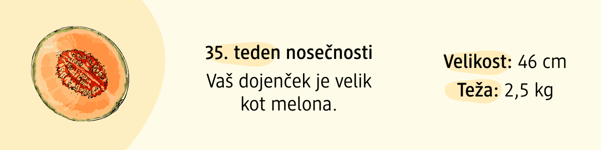 35. teden nosečnosti
