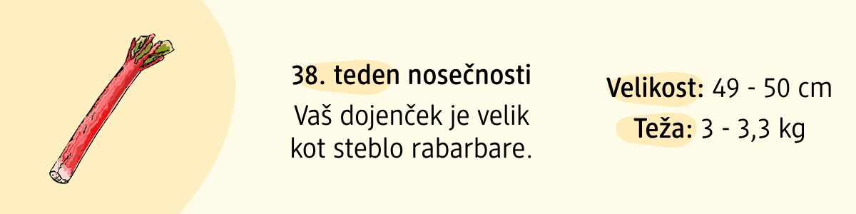 38. teden nosečnosti