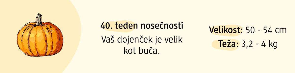 40. teden nosečnosti