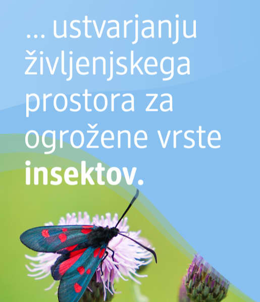 Alt-tekst: Insekt na cvetu z besedilom o življenjskem prostoru za ogrožene vrste.