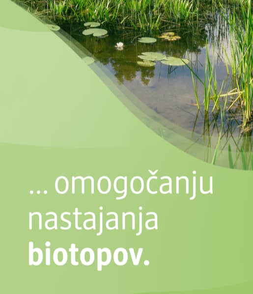 Alt-tekst: Rastline ob vodi z besedilom omogočanju nastajanja