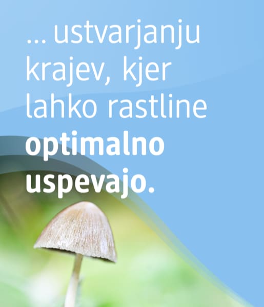 Alt-tekst: Goba med travo z besedilom o optimalnem uspevanju rastlin.