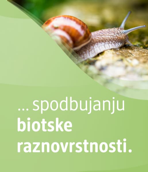 Alt-tekst: Polž na kamnu z zelenim ozadjem in napisom spodbujanju biotske.