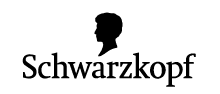LOGO_SK_220x170px