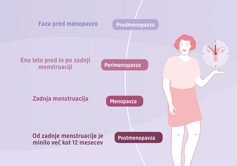 4 faze menopavze slika
