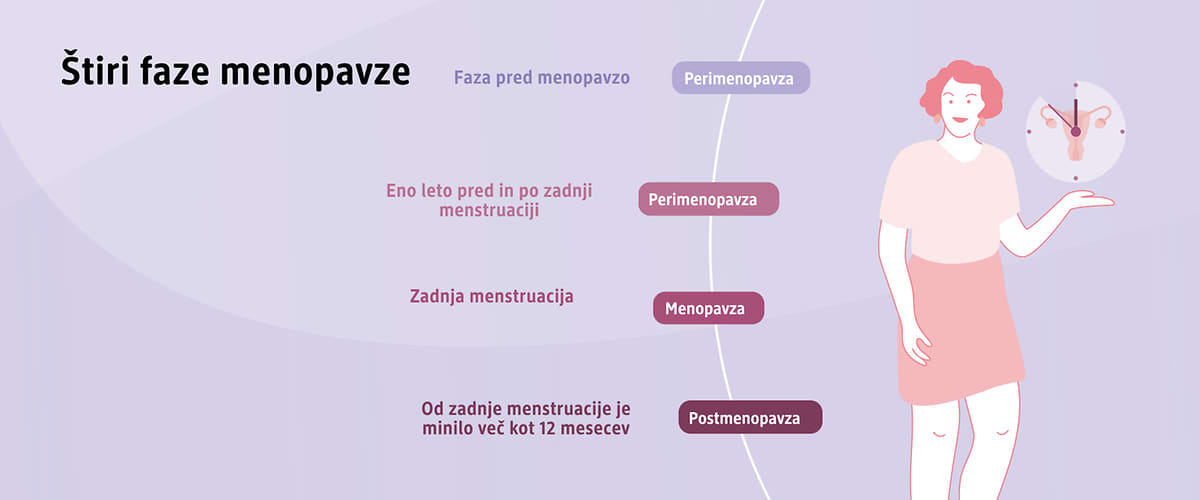 4 faze menopavze slika